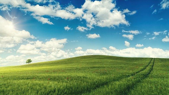 轉知~國立羅東高級中學辦理113學年度生命教育主題精進課程暨「研習送到家」系列「心靈的探索」從自我到幸福工作坊一案