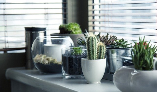 轉知佳格食品股份有限公司辦理2024「佳格食品集團以愛灌溉創意食育教案競賽」徵件辦法