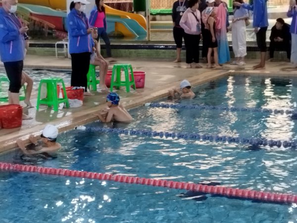 1131204桃園市中小學校聯合運動會平鎮區游泳選拔賽
