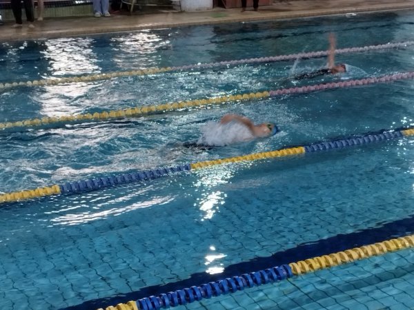1131204桃園市中小學校聯合運動會平鎮區游泳選拔賽