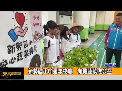 新勢國小61週年校慶 有機蔬菜做公益